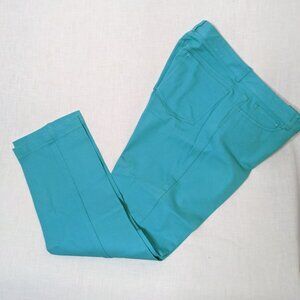 Doncaster Women's Sea Mist Green Straight Leg Pants Size 12P